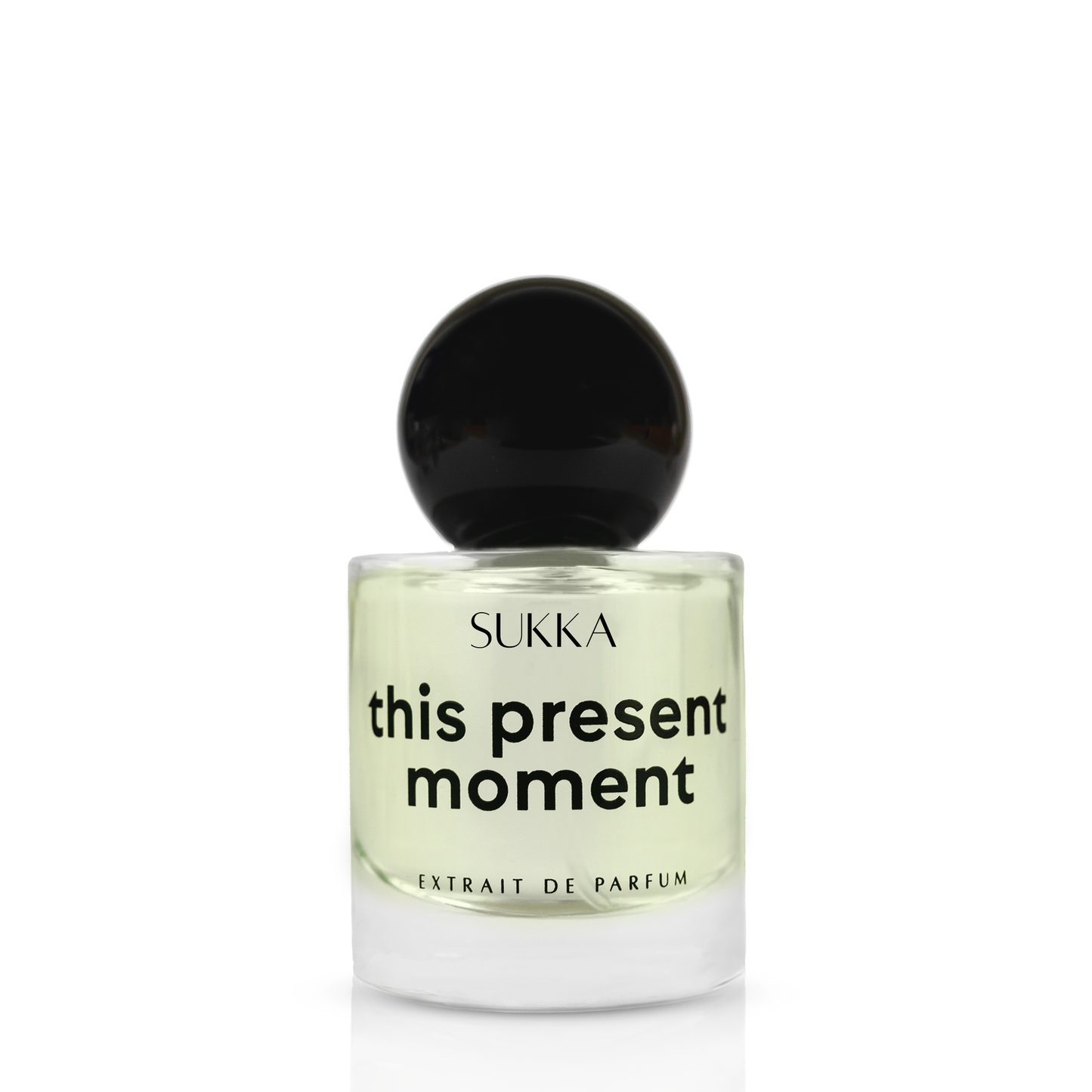 (NEW) This Present Moment